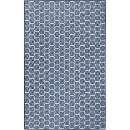 4' x 6'  Rug