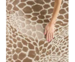 Nourison Desire 9' X 12'