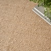 Nourison Natural Jute 8' x 10'  Rug