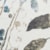 Ivory Multicolor