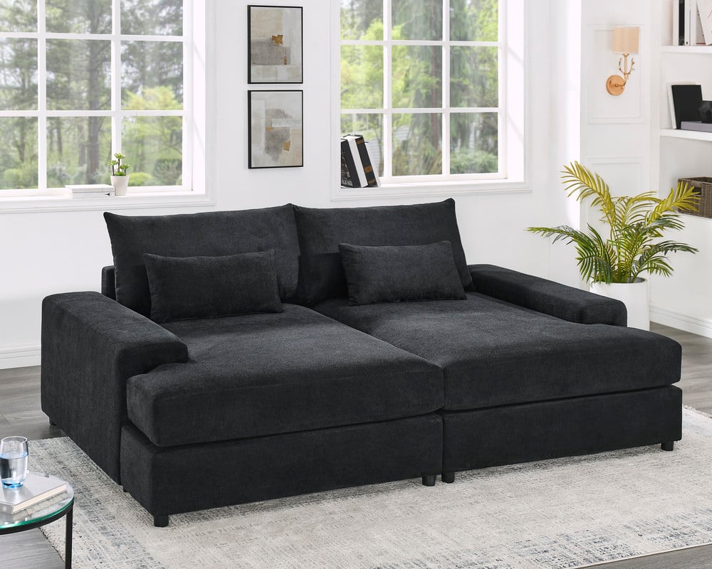 Sleeper Sofa