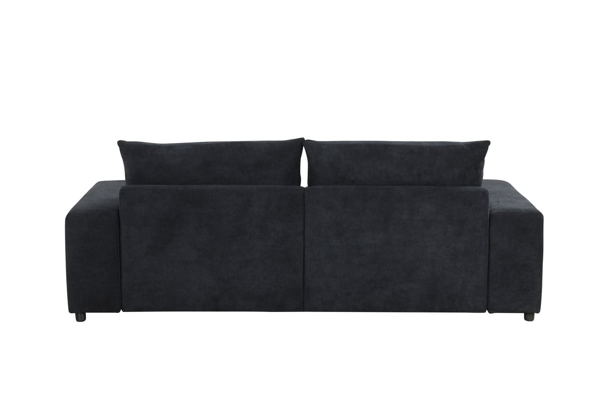 Sleeper Sofa