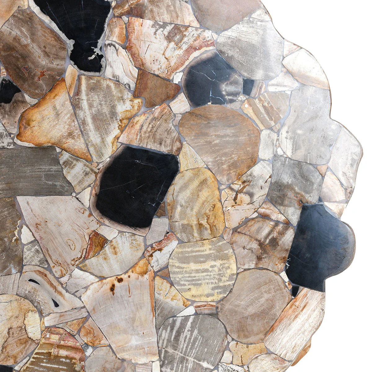 Petrified Wood Coffee Table Natural