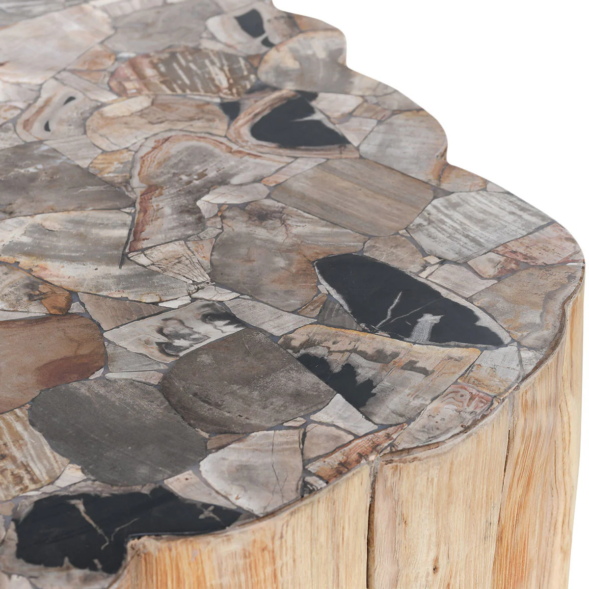 Petrified Wood Coffee Table Natural