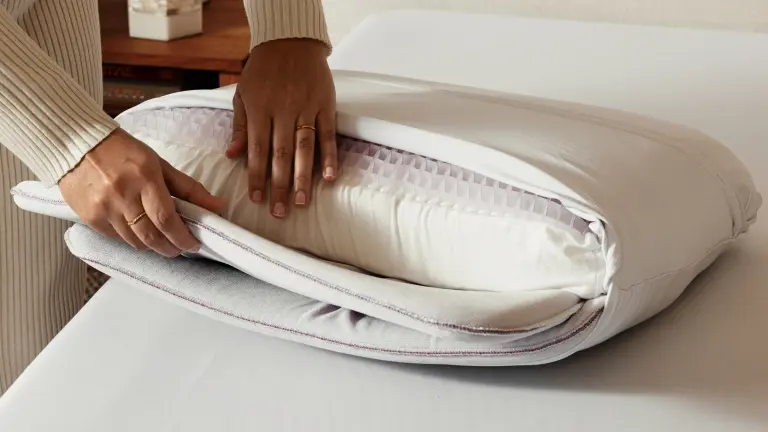 Purple DreamLayer Purple DreamLayer Standard Pillow