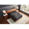 Beautyrest Beautyrest® Black C-Class 16" Plush Pillow Top Mattress - Queen