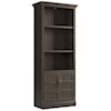 Carolina House Shoreham 35 in. Door Bookcase