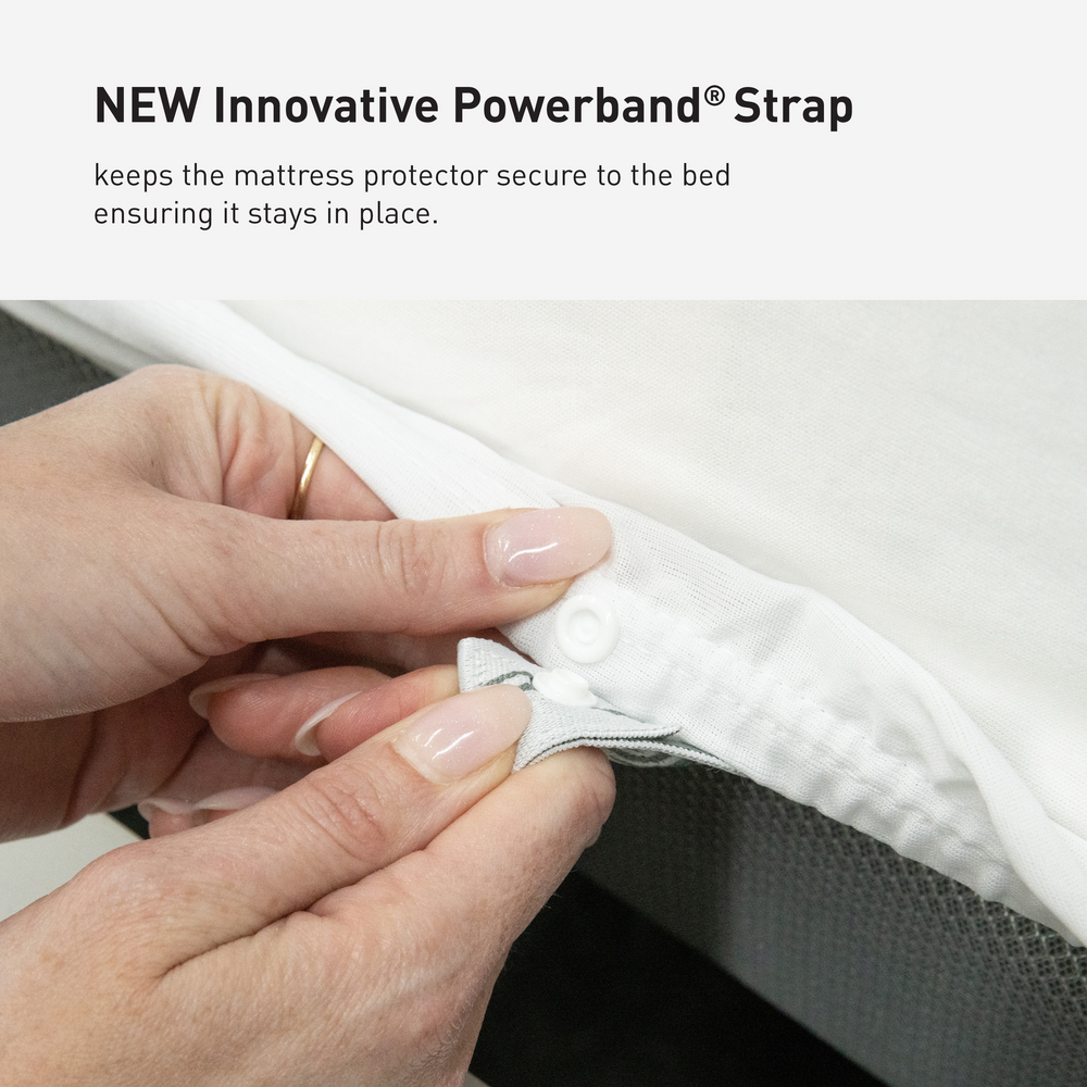 Bedgear Dri-Tec® Split Head Queen Mattress Protector