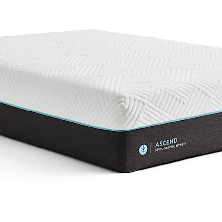 Queen Ascend 11&quot; CoolSync™ Hybrid Mattress