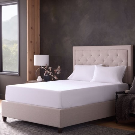 White Classic Cotton Twin XL Sheet Set