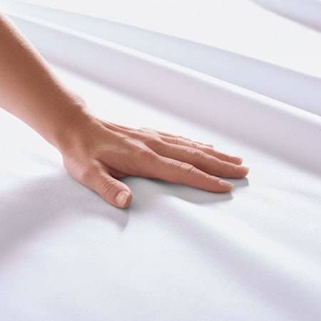 White Classic Cotton Queen Sheet Set