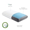 Malouf CarbonCool™ LT + Omniphase® Pillow K  CarbonCool™ LT + Omniphase® Pillow