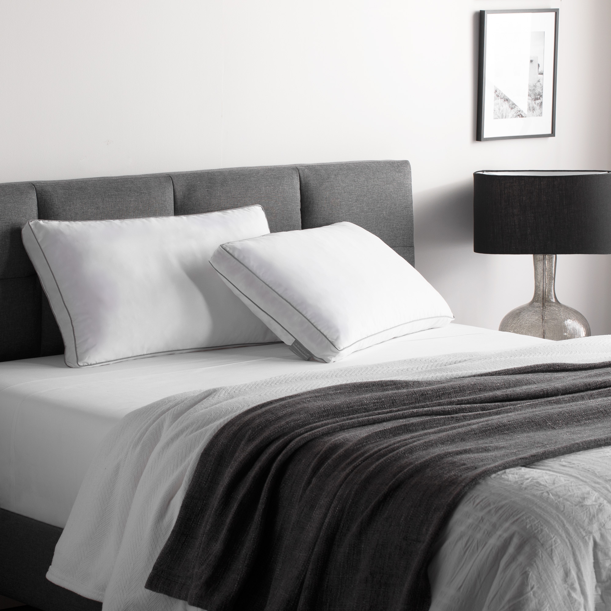 Queen  Shredded Memory Foam Pillow (2 Pack)