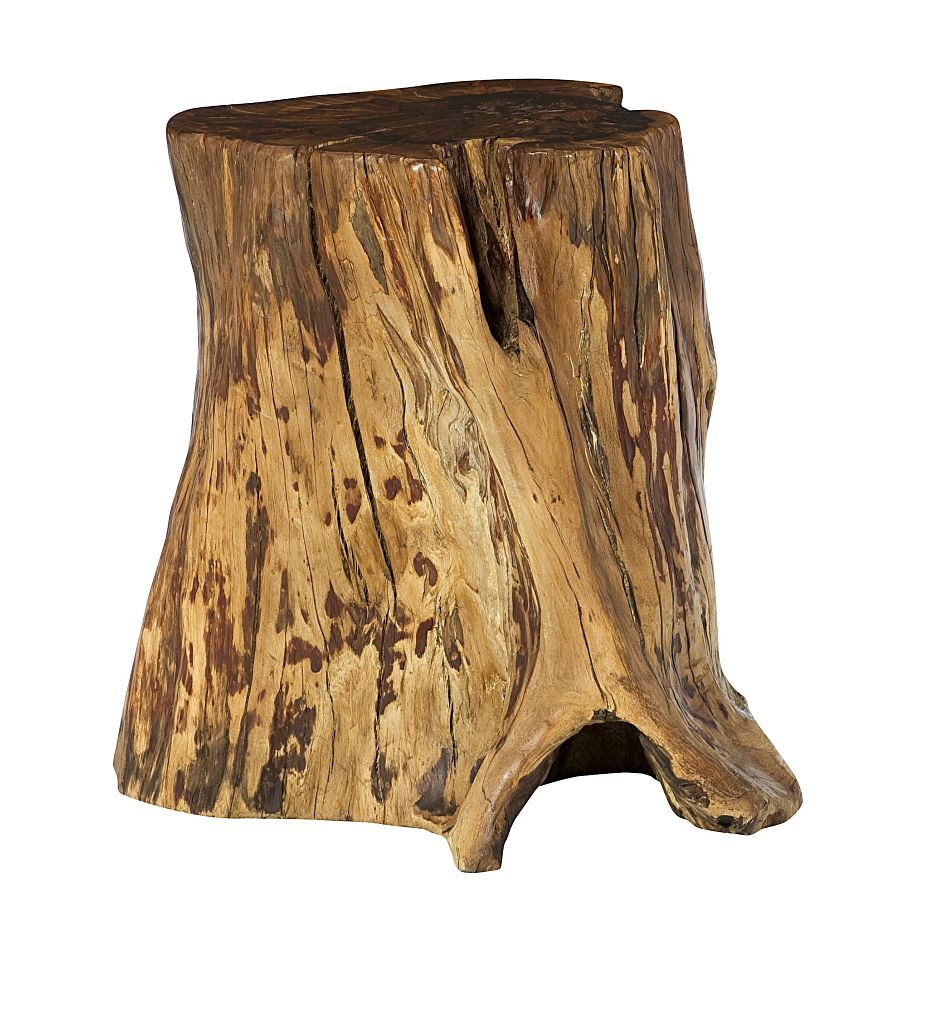 Tree Trunk Accent Table