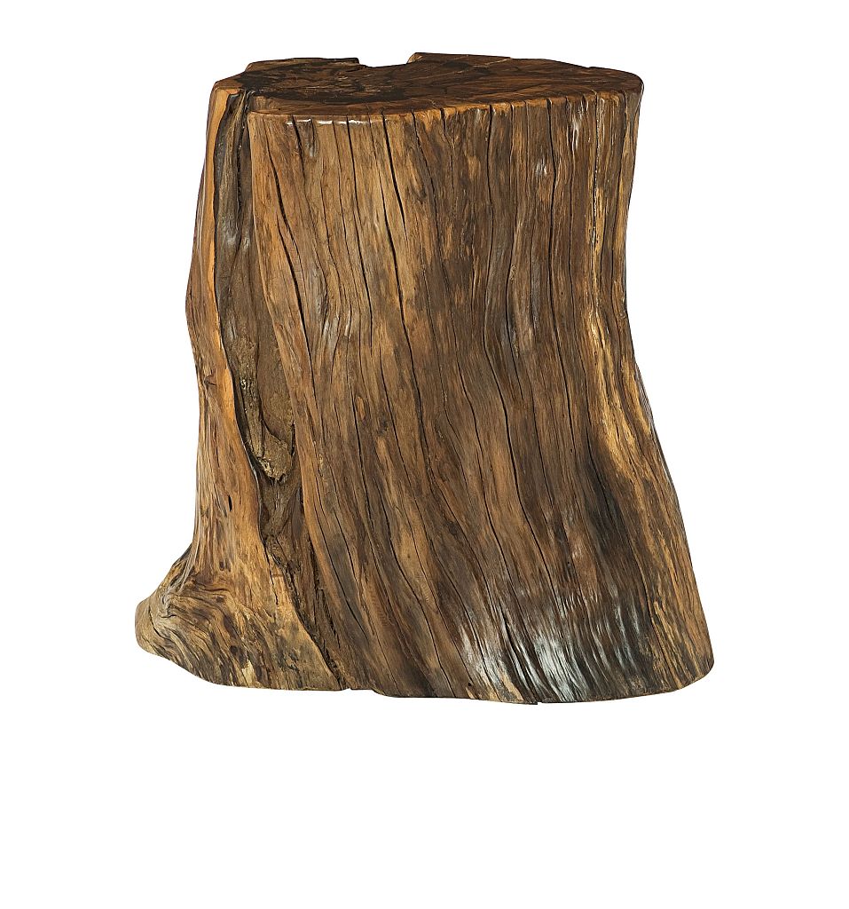 Tree Trunk Accent Table