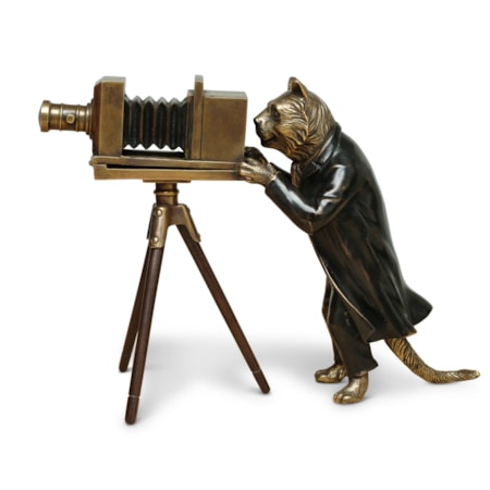 Feline Fotography Sculpture