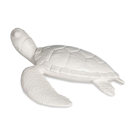 Shelldon Tortoise
