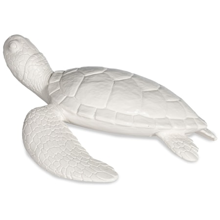 Shelldon Tortoise