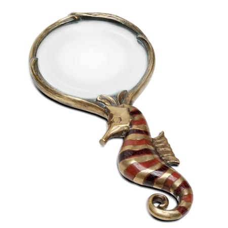 Seahorse Magnifying Glass
