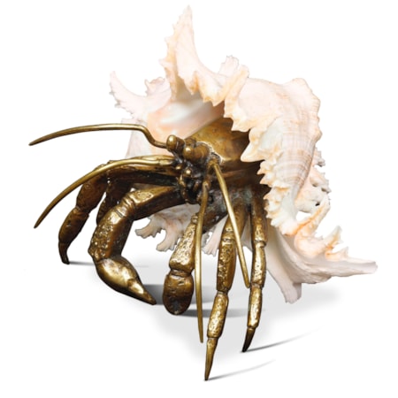 Ramosus Shell Sculpture