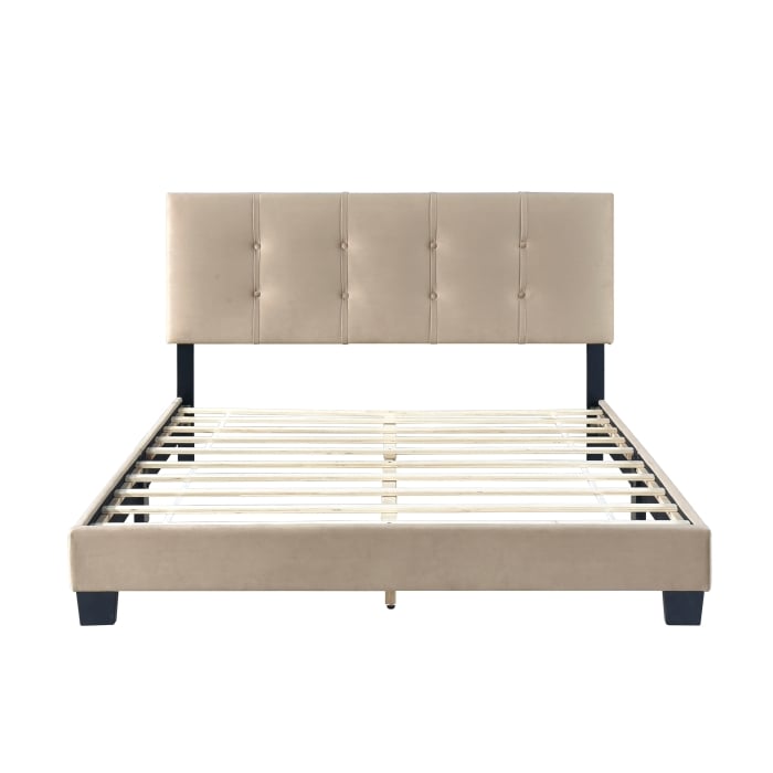 Queen Platform Bed