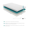 Homelegance Altair 6" Full Memory Foam Mattress