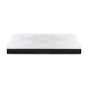 Homelegance Avior Microcoil Hybrid Mattress