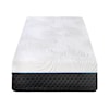 Homelegance Avior Microcoil Hybrid Mattress