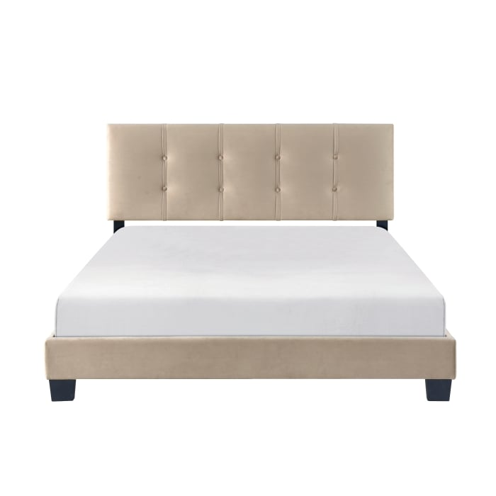 Queen Platform Bed