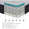 Homelegance Avior Microcoil Hybrid Mattress