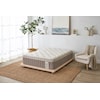 Serta Canada Fresh King Watershed 15" Med Mattress