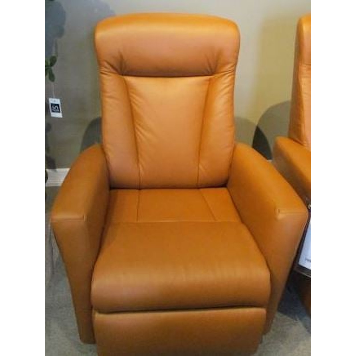 IMG Norway Prince  Standard Recliner