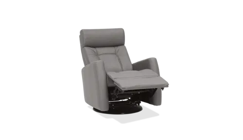 Contemporary Power Sofa Recliner