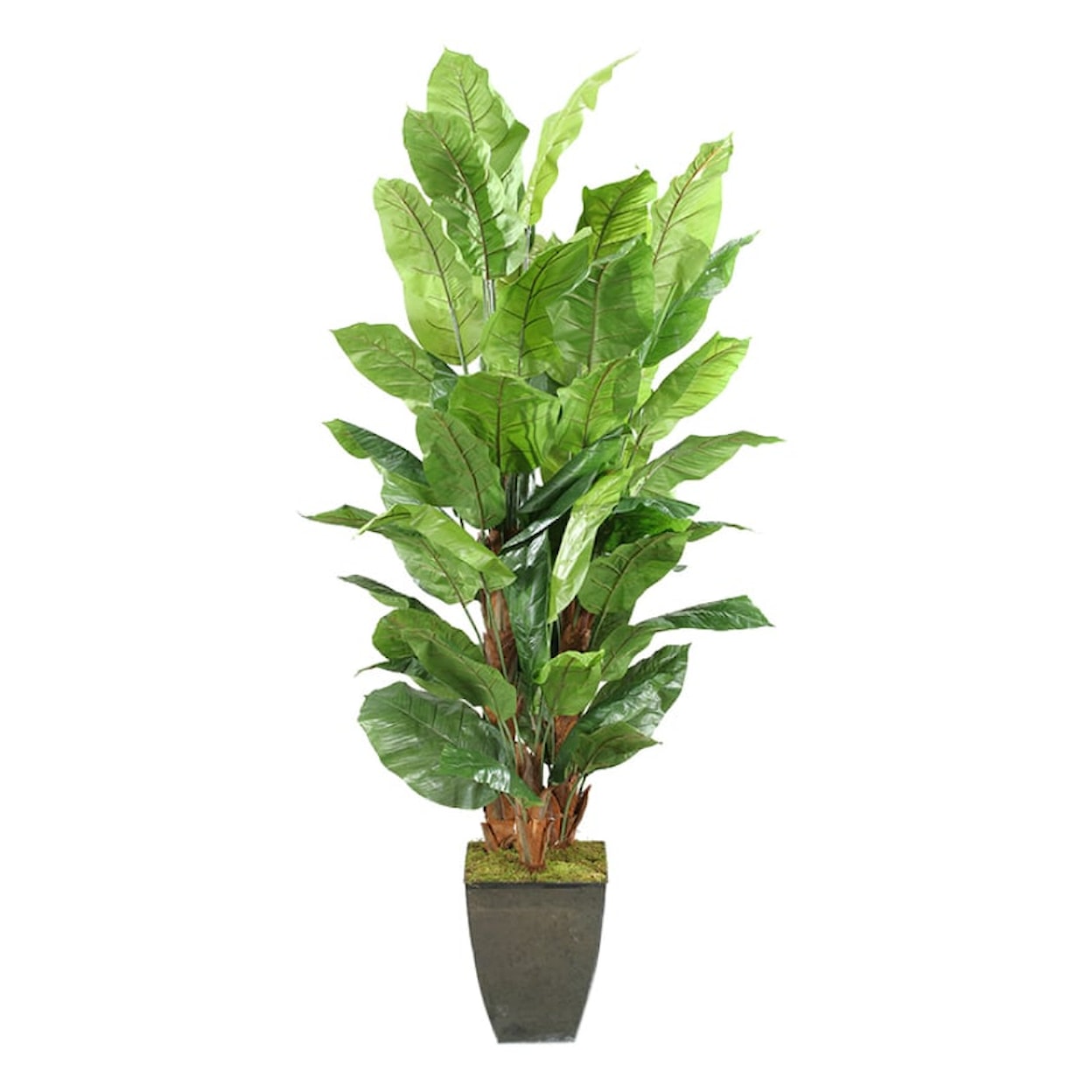 D&W Silks Artificial Trees Spath Plants in Square Metal Planter