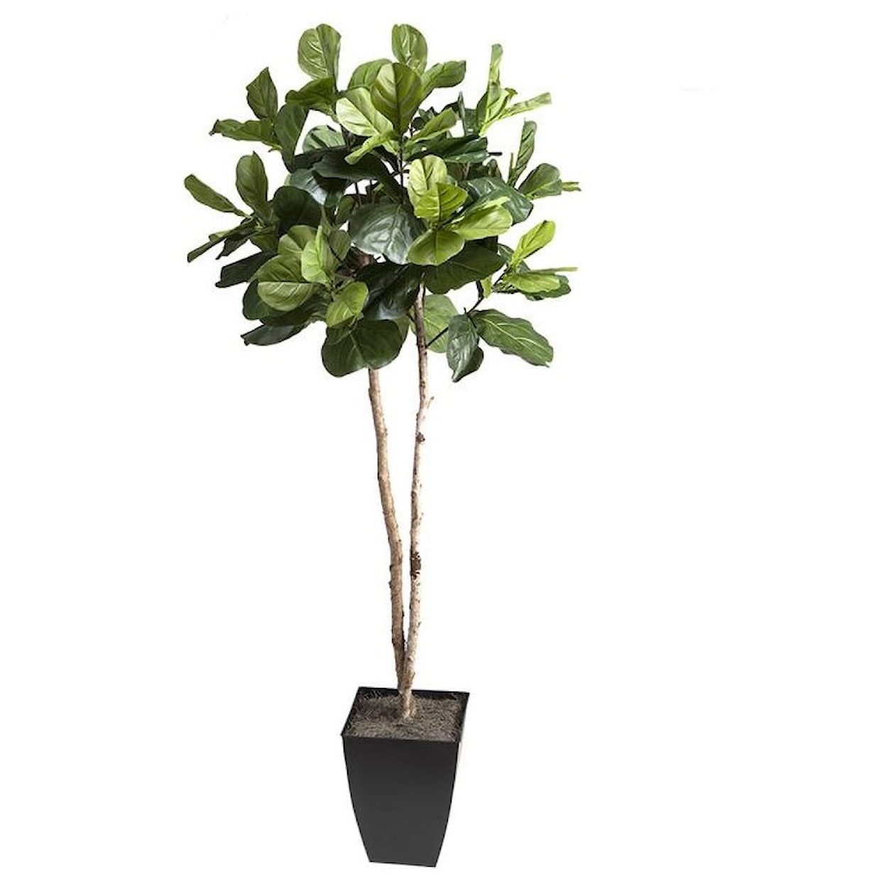 D&W Silks 109 7' Fiddle Leaf Fig