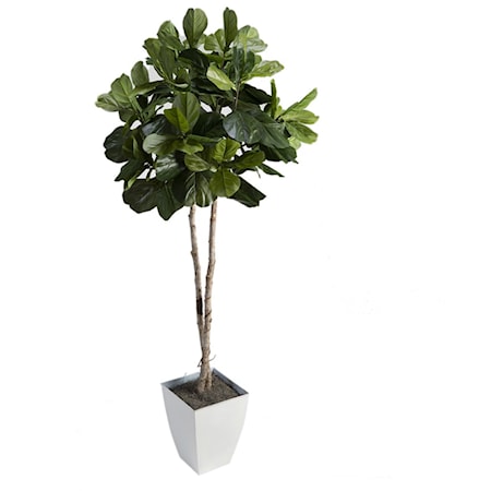 Fiddle Leaf Fig Tree in White Metal Planter