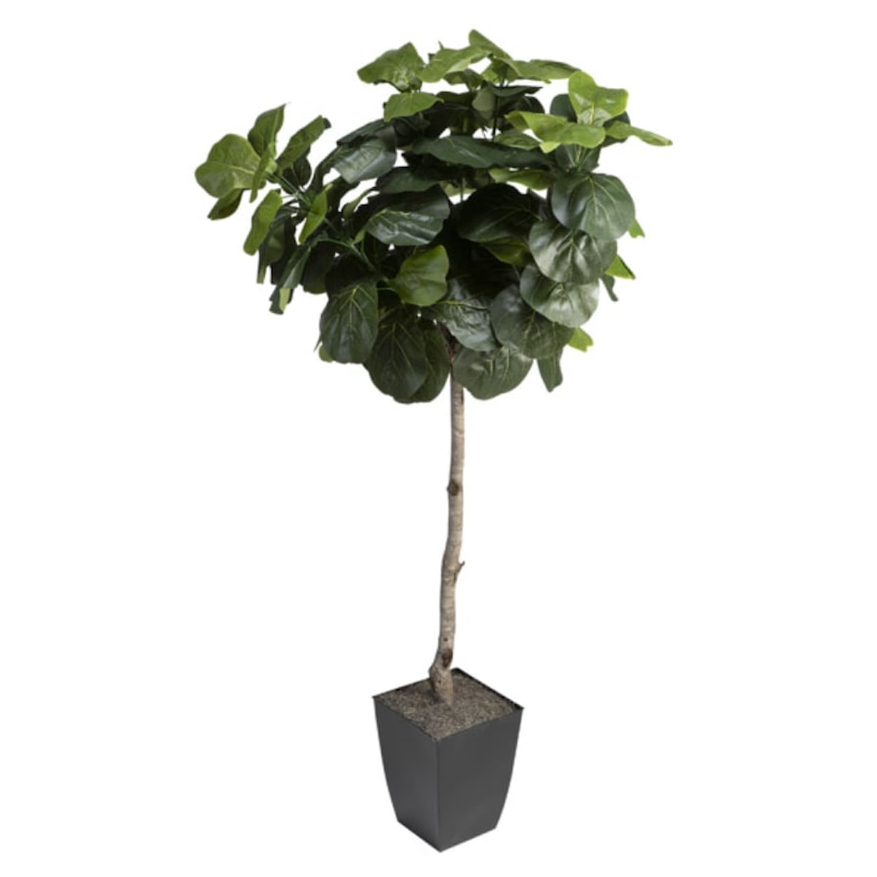 D&W Silks Artificial Trees Fiddle Leaf Fig Tree in Square Metal Planter