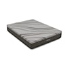 Sleep Shop Mattress Arizona 2.0 Medium Arizona 2.0 Twin XL Medium