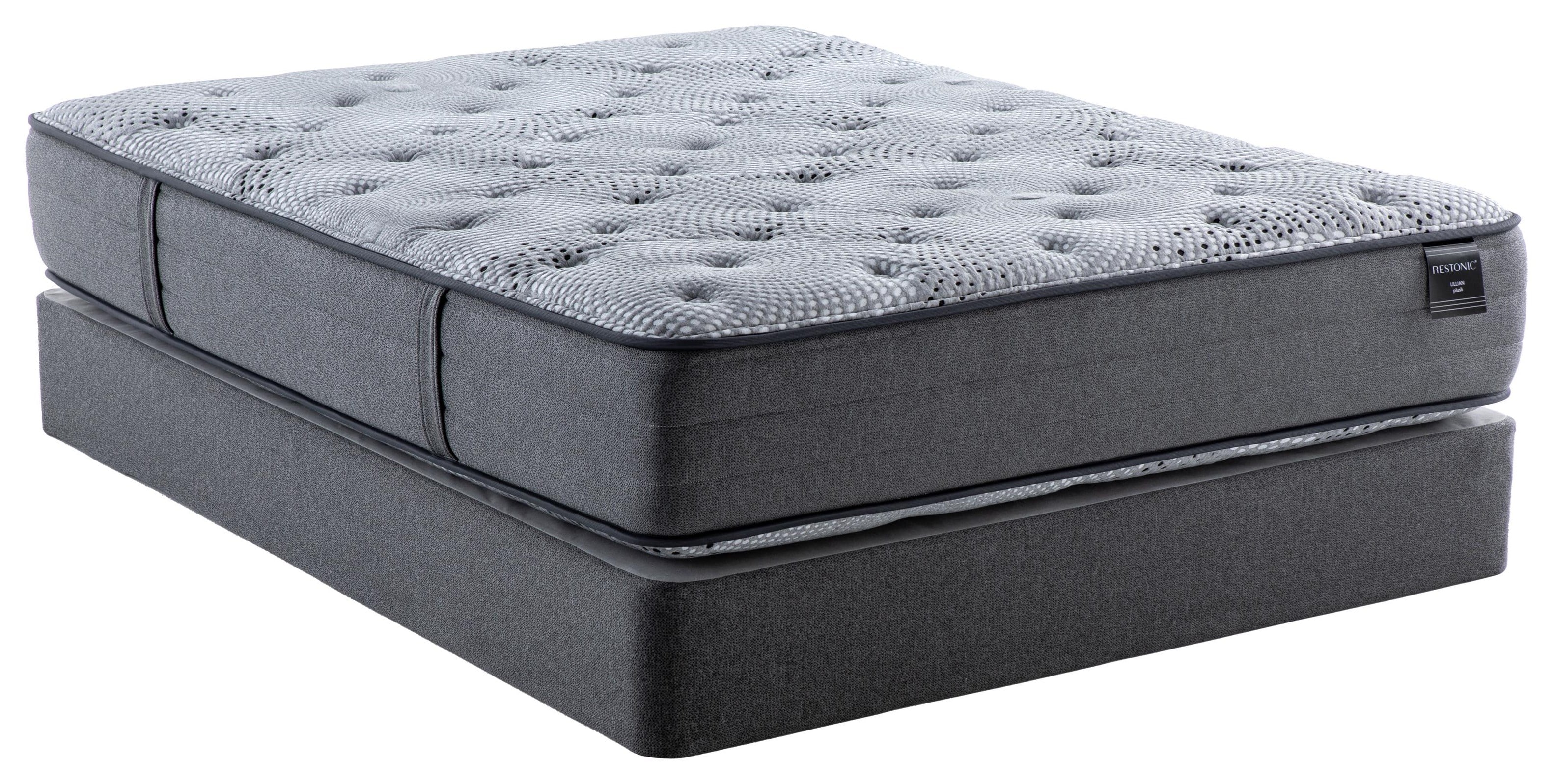 Queen plush deals mattress set