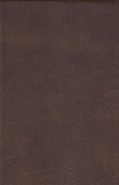 Patterson Customizable Sofa