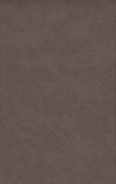 Lamoni Customizable Pressback Recliner