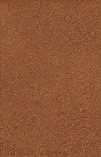 Gravois Customizable Swivel Gliding Recliner