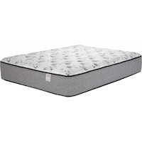 Twin XL Castlehill Luxury Firm Mattress and Ease 3.0 Adjustable Base