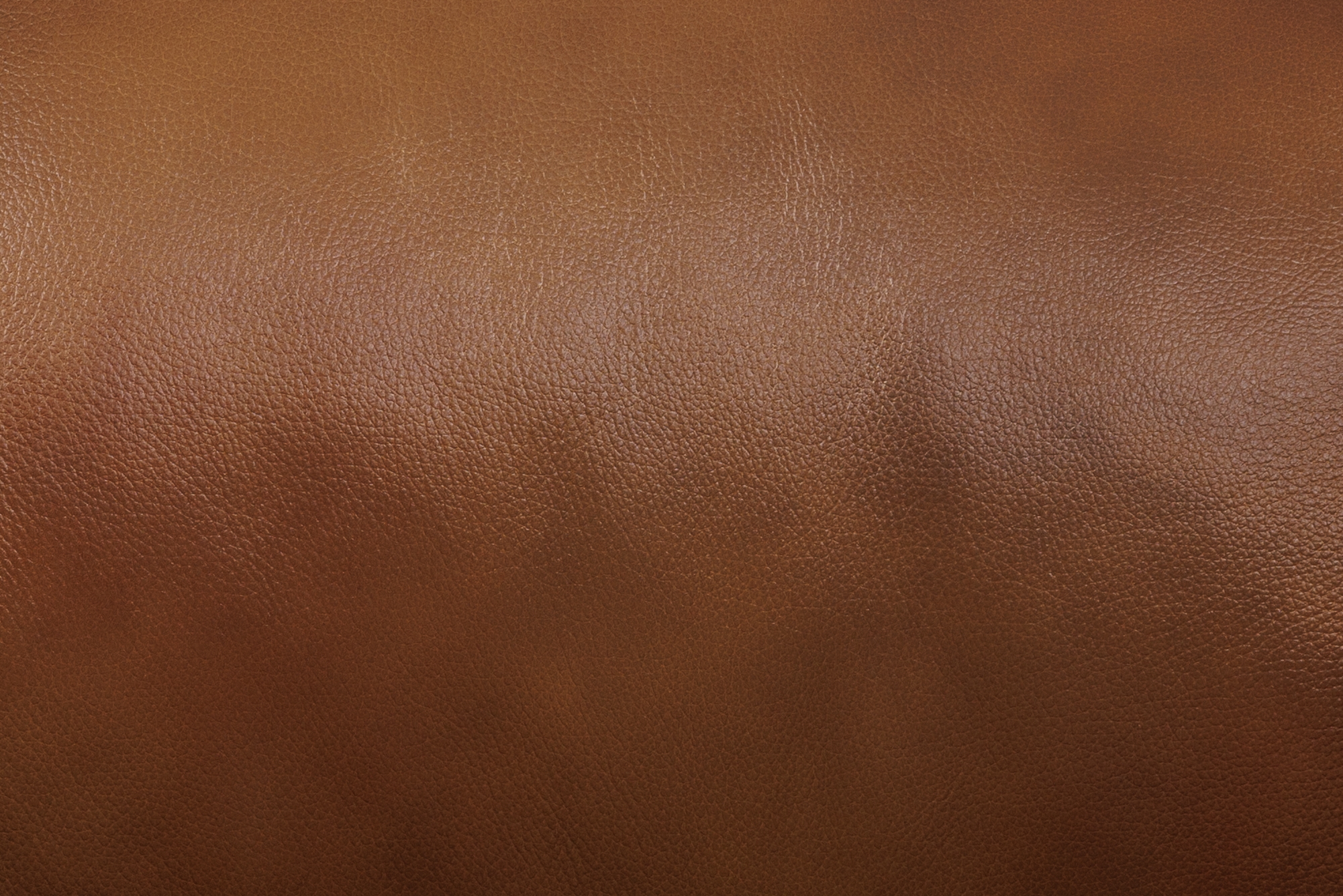 Best Home Furnishings Dozier Wallsaver Recliner