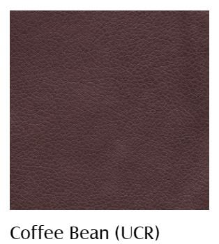 Power Headrest &amp; Lumbar Lift Chair