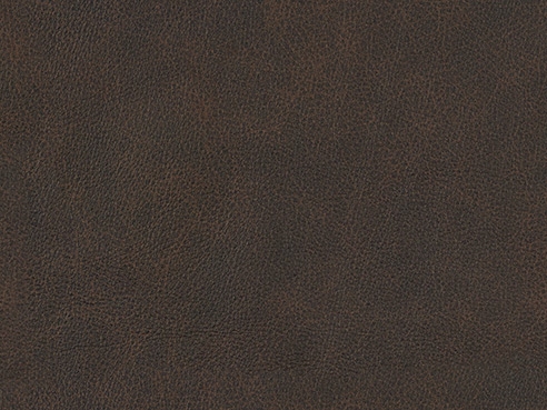 Power Headrest Hi-Leg Recliner