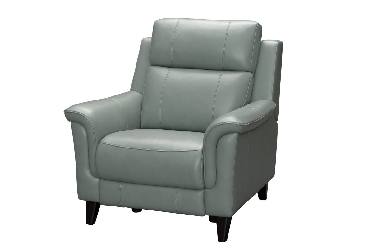 Power Headrest Hi-Leg Recliner
