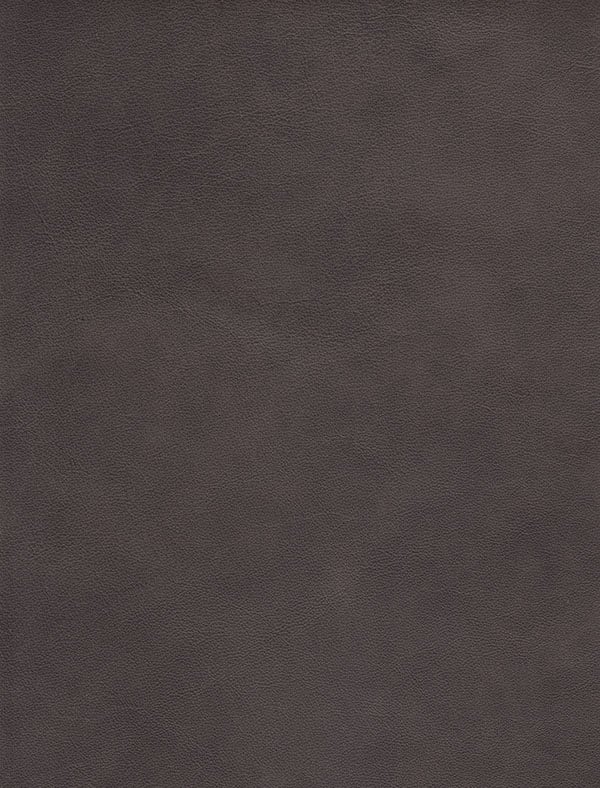 Customizable Power Headrest Gliding Recliner