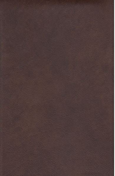 Customizable Power Headrest Gliding Recliner