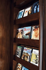 Wall Unit Side Panel Detail for DVDs, CDs or video games
